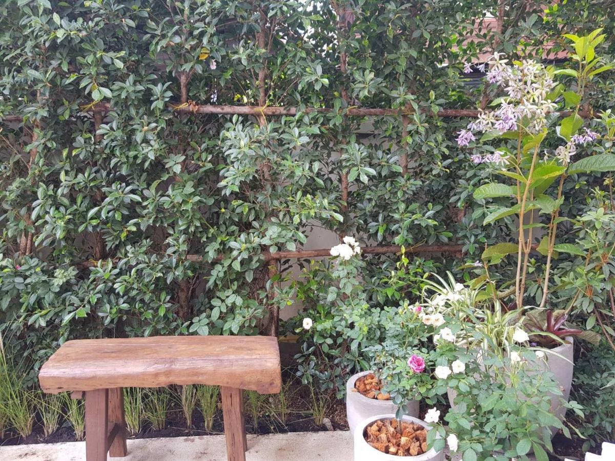 Hotel Rosy Chiang Mai Zewnętrze zdjęcie